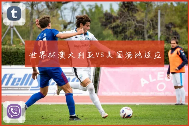 世界杯澳大利亚vs美国场地适应