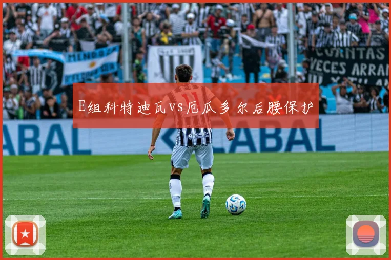 E组科特迪瓦vs厄瓜多尔后腰保护