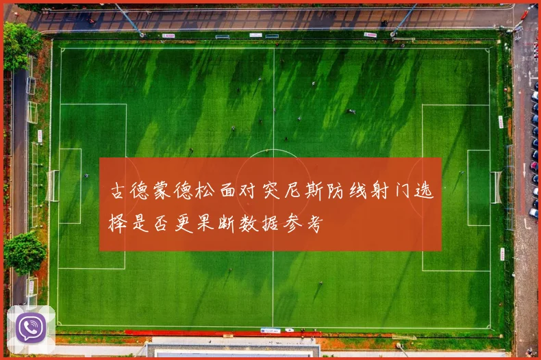 古德蒙德松面对突尼斯防线射门选择是否更果断数据参考