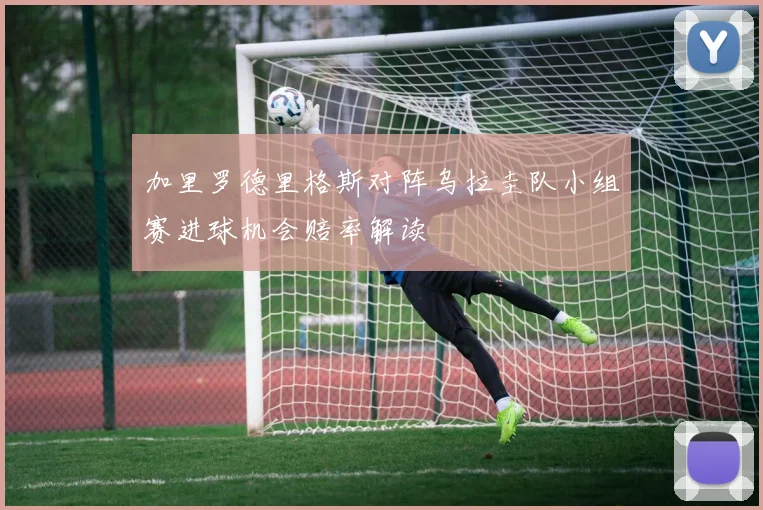 加里罗德里格斯对阵乌拉圭队小组赛进球机会赔率解读
