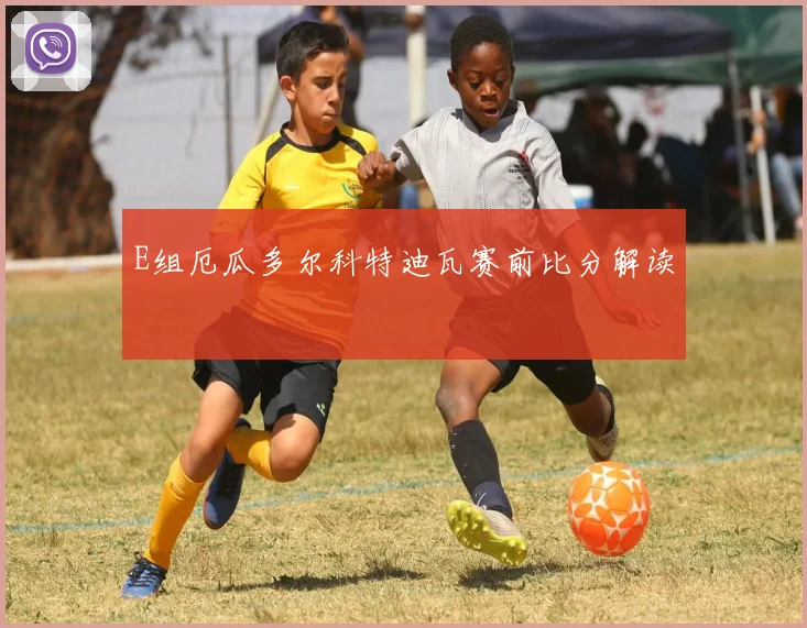 E组厄瓜多尔科特迪瓦赛前比分解读