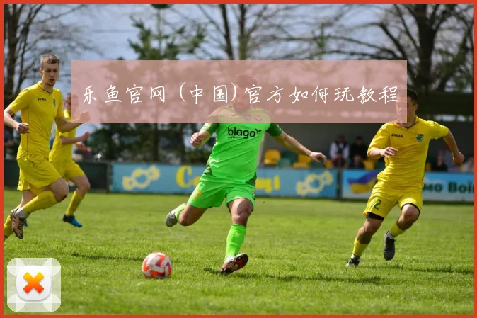 乐鱼官网 (中国)官方如何玩教程