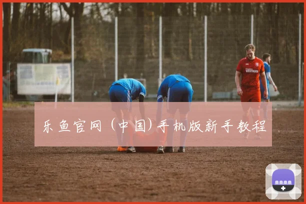 乐鱼官网 (中国)手机版新手教程