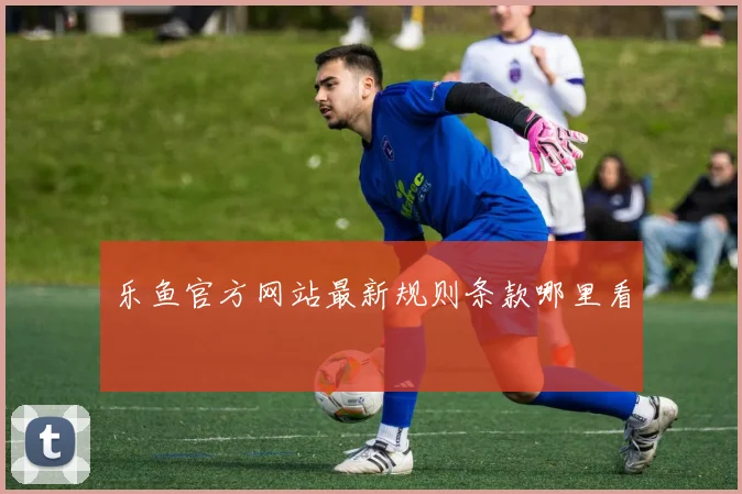 乐鱼官方网站最新规则条款哪里看