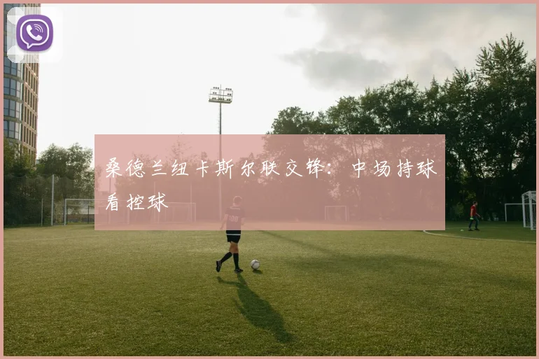 桑德兰纽卡斯尔联交锋：中场持球看控球