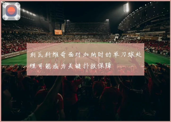 利瓦科维奇面对加纳时的单刀球处理可能成为关键扑救保障
